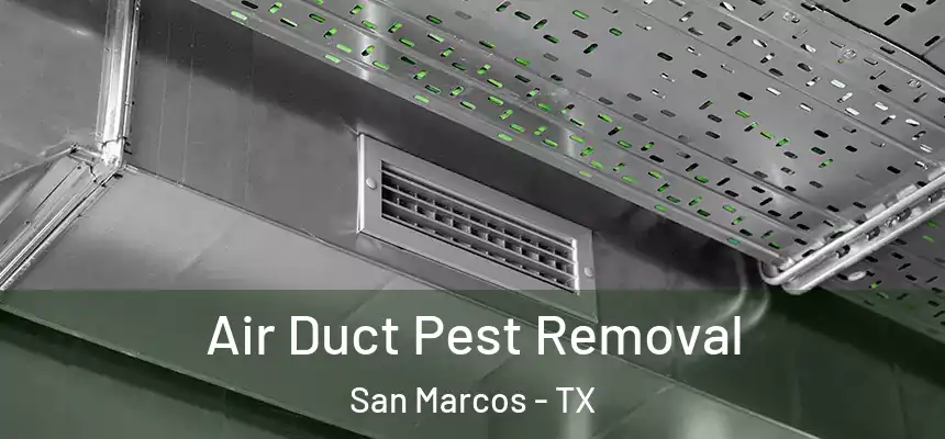 Air Duct Pest Removal San Marcos - TX