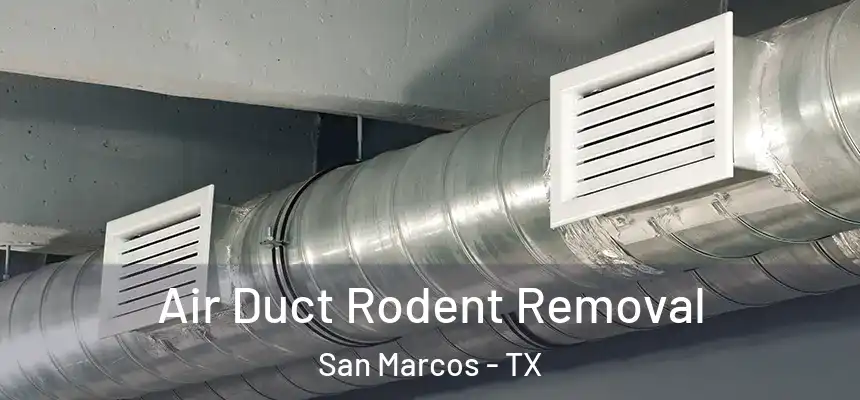 Air Duct Rodent Removal San Marcos - TX