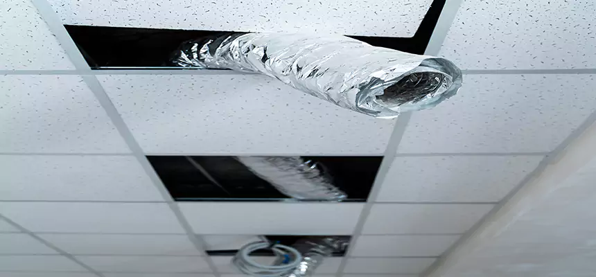 Our Air Duct Pet Hair Removal Services in San Marcos, TX