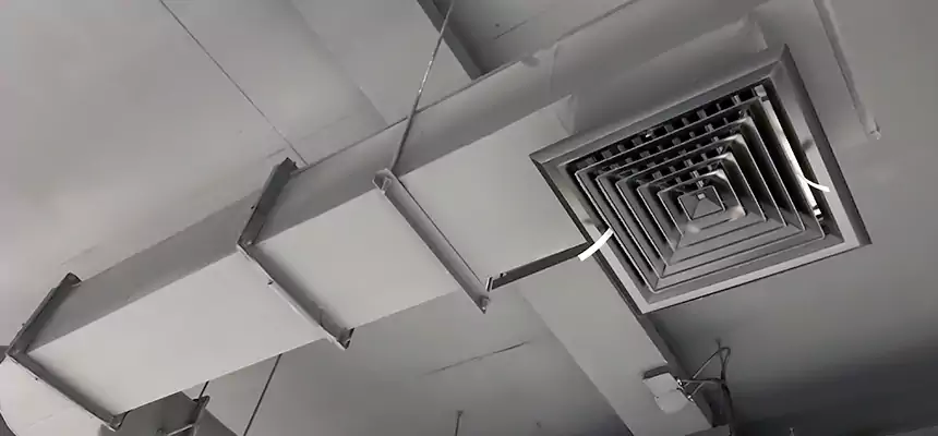 Our Pest Removal From Ducts Services in San Marcos, TX