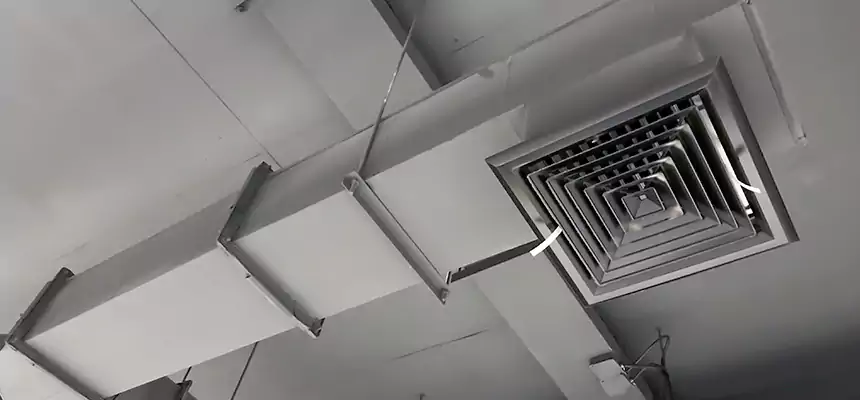 Our Rodent Droppings In Vents Services in San Marcos, TX