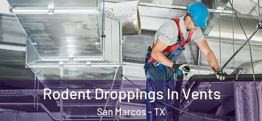 Rodent Droppings In Vents San Marcos - TX