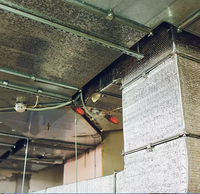 Why Homeowners & Businesses Trust Us San Marcos, TX?