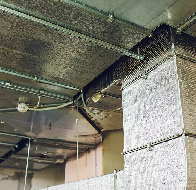 Why Homeowners & Businesses Trust Us in San Marcos, TX?